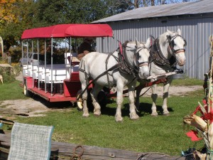Horse and Wagon 2 closer