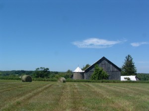 July 1,2,3,4 at GRANDPAS HORSESTABLE Neils pics 070