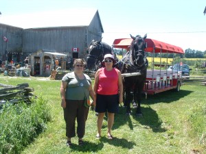 July 1,2,3,4 at GRANDPAS HORSESTABLE Neils pics 071