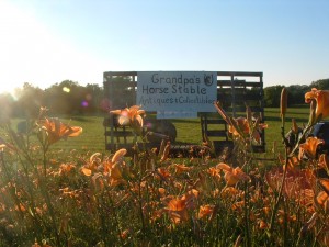 July 1,2,3,4 at GRANDPAS HORSESTABLE Neils pics 084